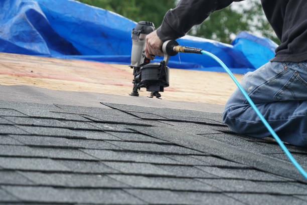 Best Roof Repair Services  in Sitka, AK