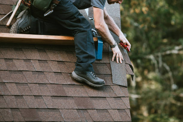 Roof Waterproofing Services in Sitka, AK